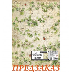 Рисовая бумага Stamperia для творчества DFSAJB016 "Плющ", 50х70 см